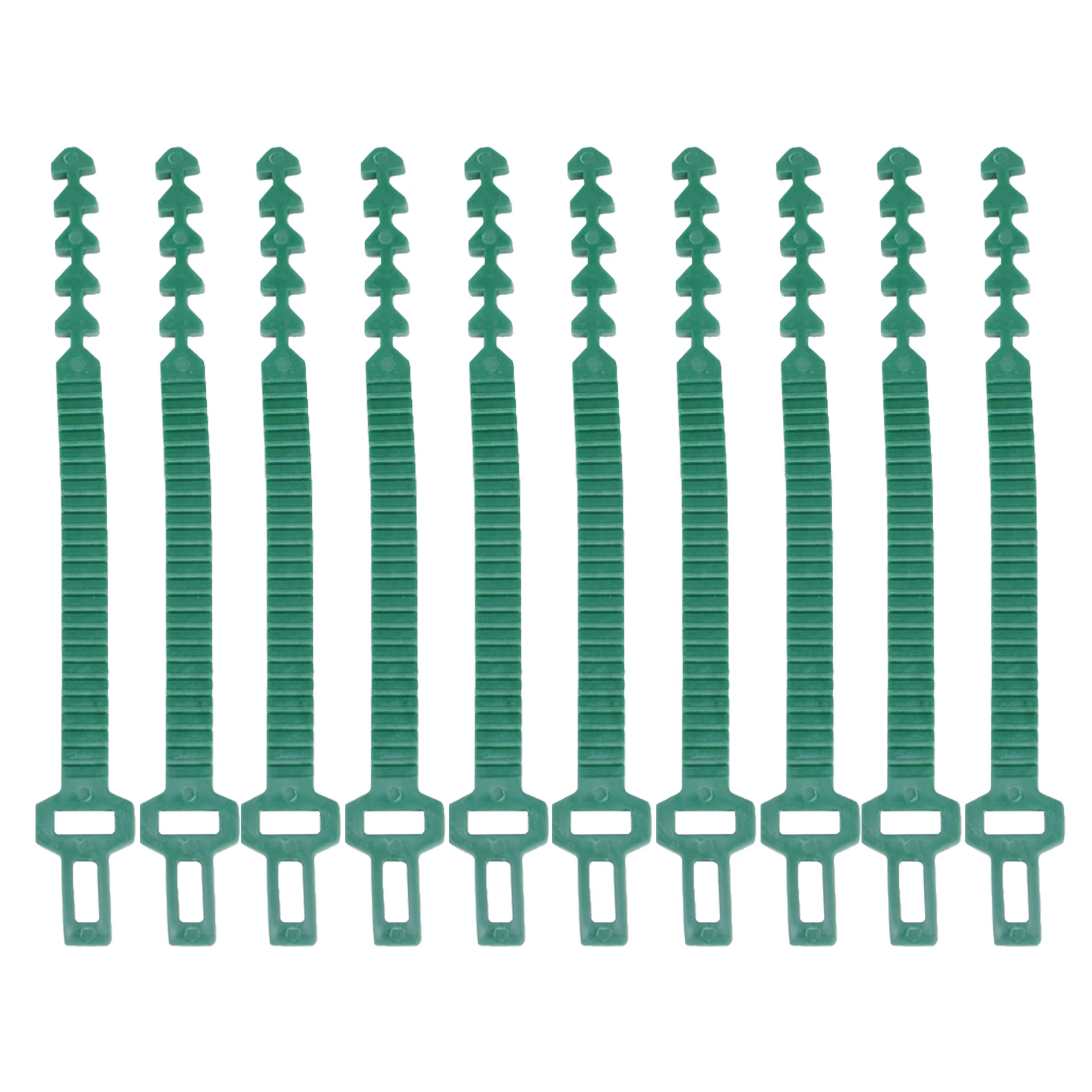 

10Pcs Plant Ties Adjustable Tree Tie Strap Tree Straps For Staking Reusable Tree Strapping Ties For Preventing Trees From