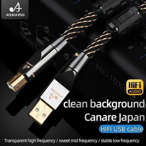 ATAUDIO HiFi USB OTG кабель Type A-B Type C-B