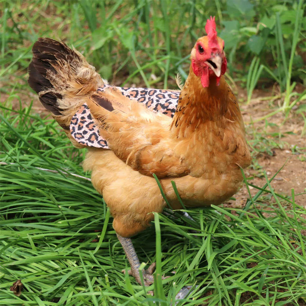 

Комплект из 5 седлов для кур с эластичными ремешками, холщовые фартуки для кур, приспособления для роста перьев, фиксирующие защитные куртки...