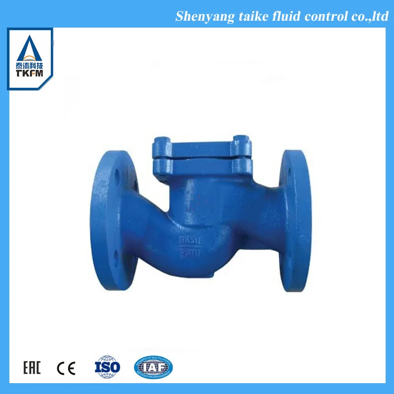 TKFM DN100 wcb обратный клапан для подъема материала парового клапана символ проверки