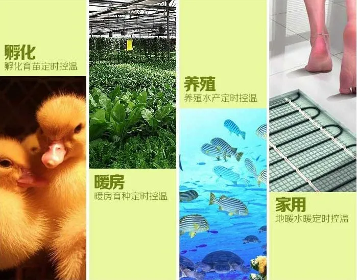 220 В 1 кВт термостат бойлера регулятор циркуляции насоса механический