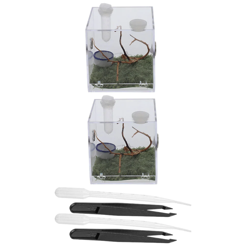 

2 Sets Reptivite Jumping Spider Enclosure Accessories Transparent Spider Box Clear Design Spider Box Snail Terrarium Spider Box