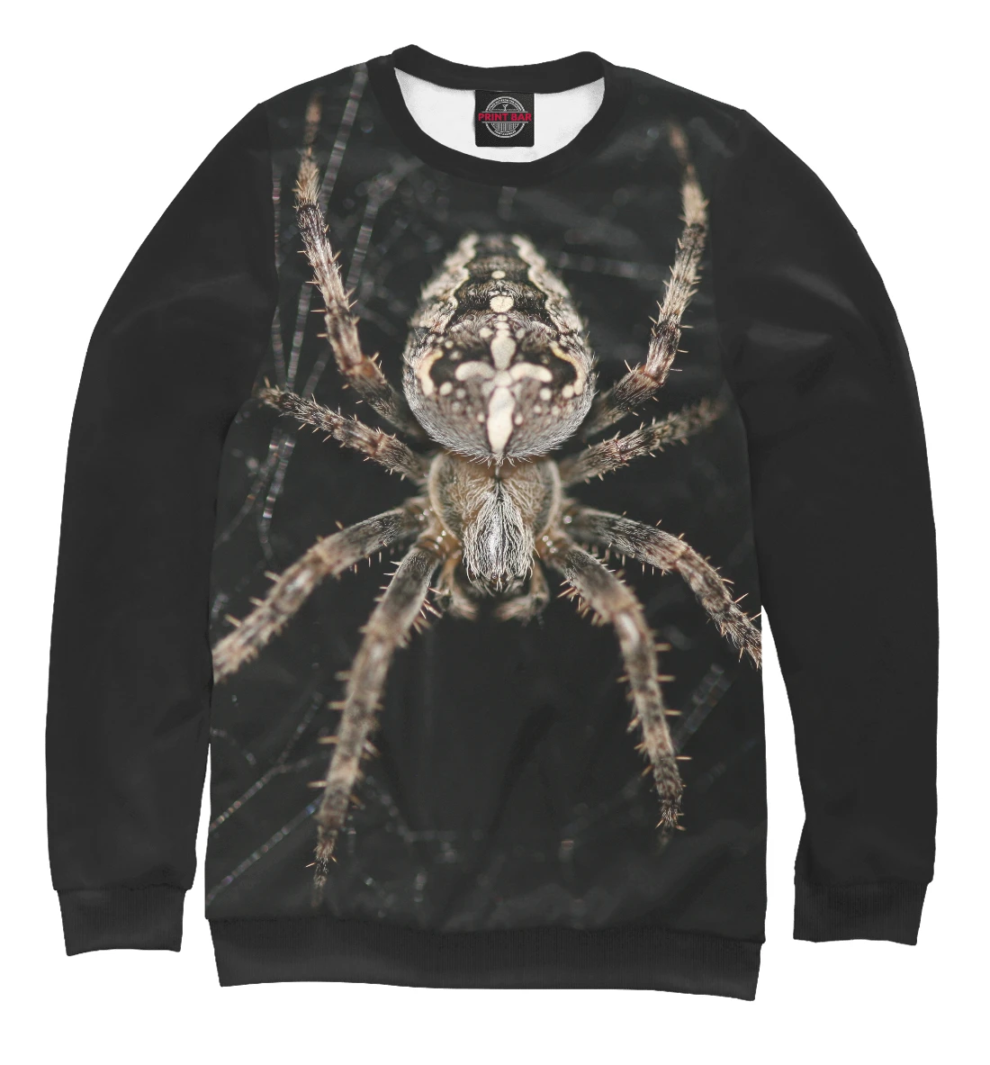 Купить Кофту С Пауком На Спине 4