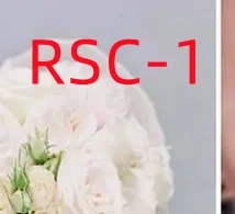 

Мебель и обивка/аксессуары RSC