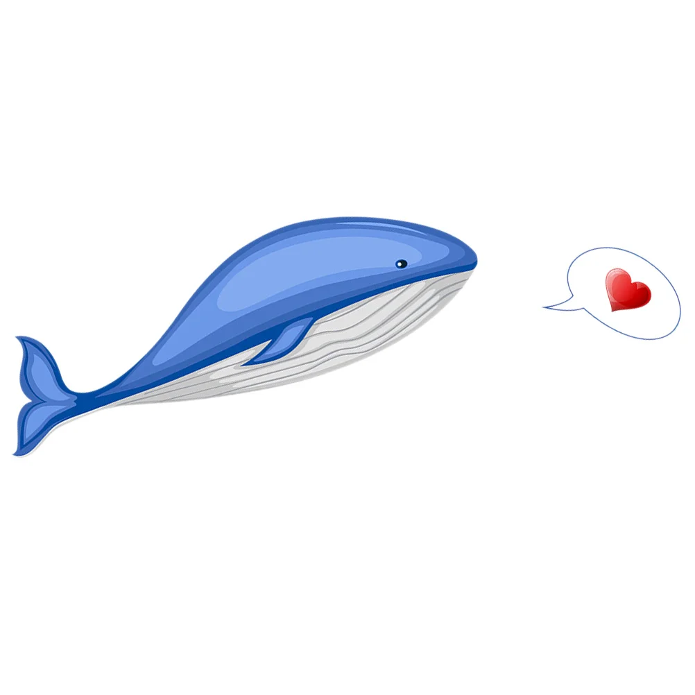 

Wiper Car Decal Windshield Sticker Decorative Stickers Rear Window Waving 3D Funny Vinyl Bumper Vehicle Whale