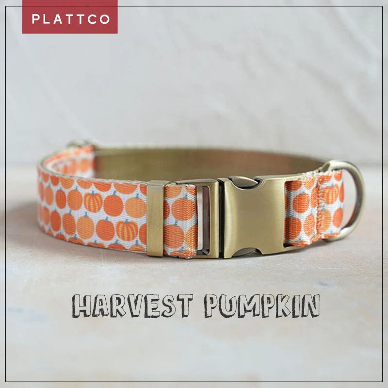 

PLATTCO unique design dog collar print Harvest Pumpkin with high-quality bronze buckle size 5 PDC367Br