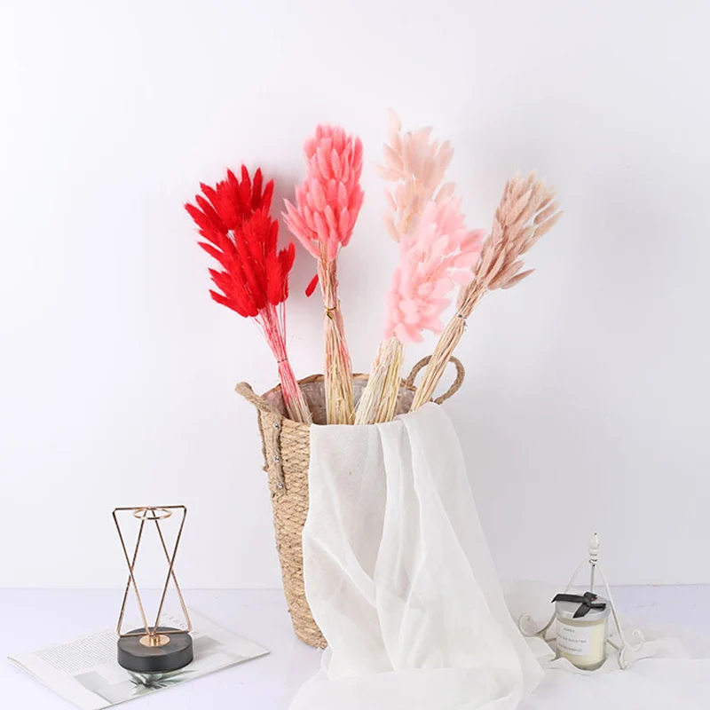

Natural Dried Flowers White Grey Flowers 20pcs Real Rabbit Tail Grass Bouquet Flower Wedding Arrangement Home Living Room Decor