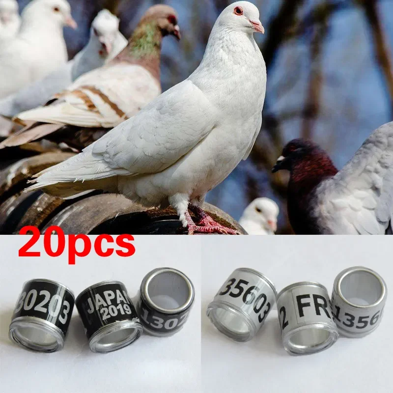 Digital Bird Foot Ring Bird Parrot Pigeon Leg Rings Supplies Accessories Bird Training Tool