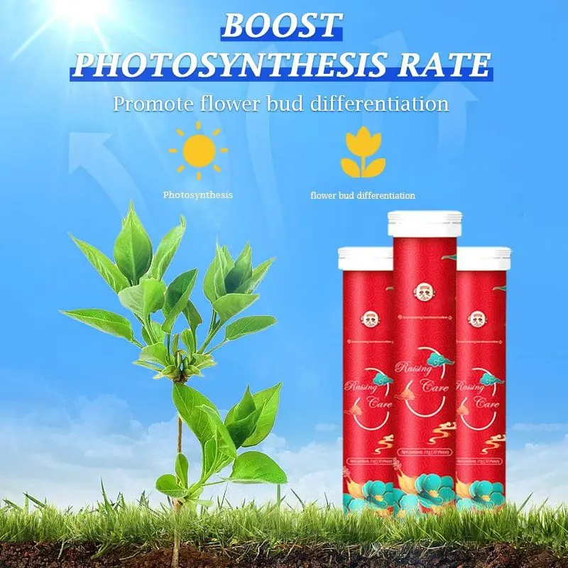 

100g Universal Gardening Slow-Release Tablet Organic Fertilizer Plant Flowers Nitrogen Phosphorus Potassium Slow Release Agent