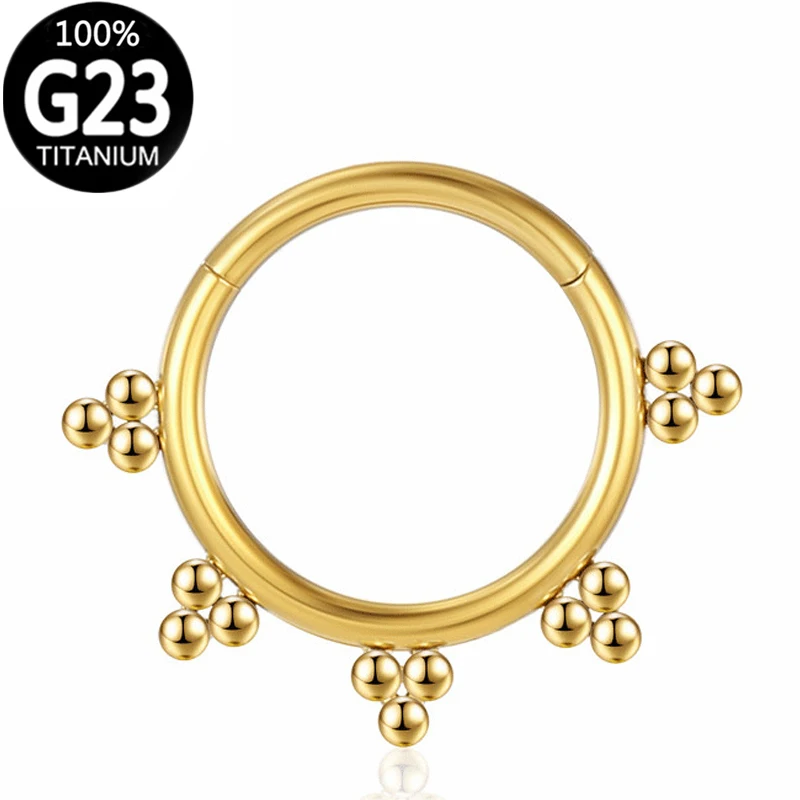 

G23 Titanium Goth Nose Ring Piercing Sexy Body Jewelry Helix Septum Tragus Piercing Industrial Ear Hoop Surgical Steel Wholesale
