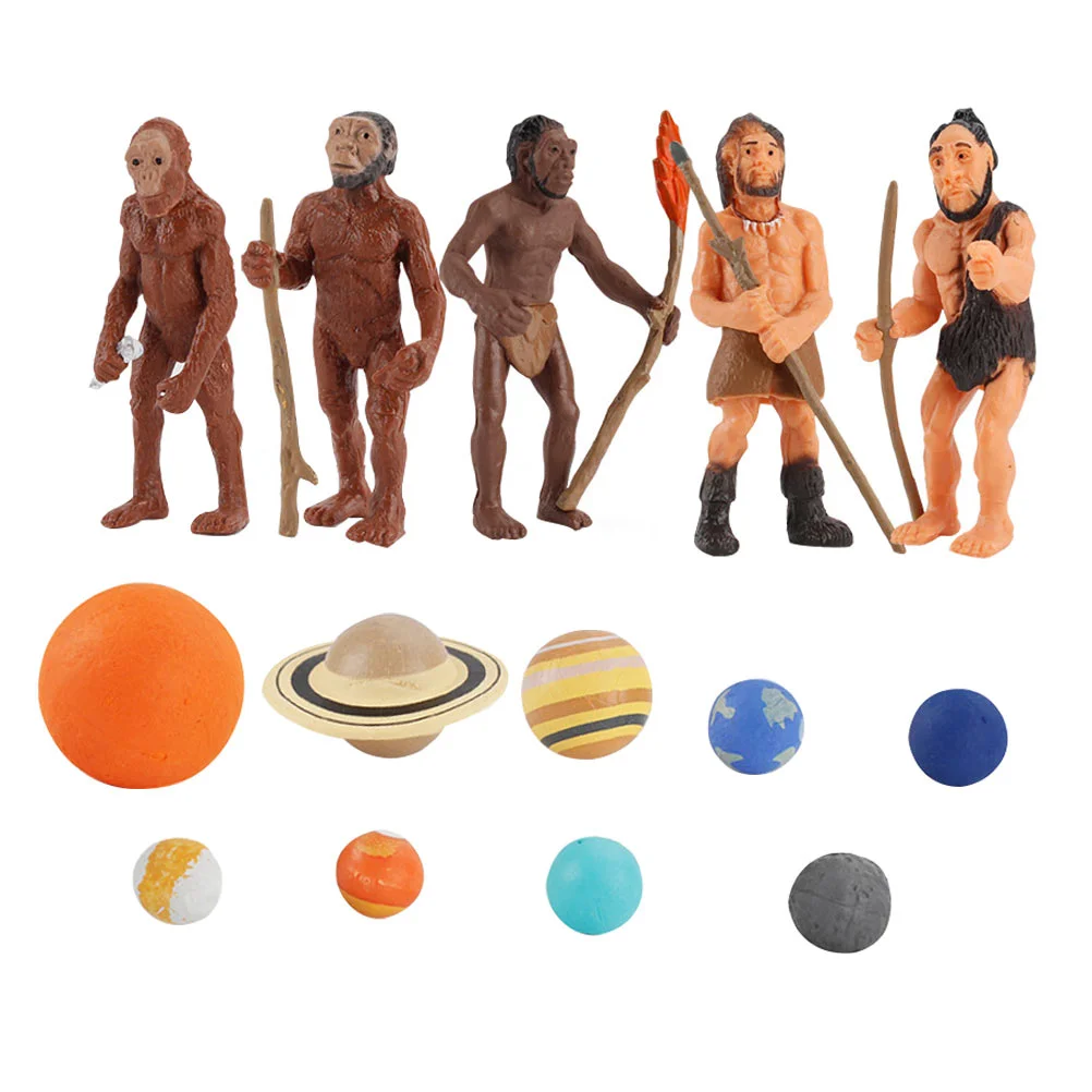 

1 Set Durable Realistic Multipurpose Practical Educational Human Evolution Models