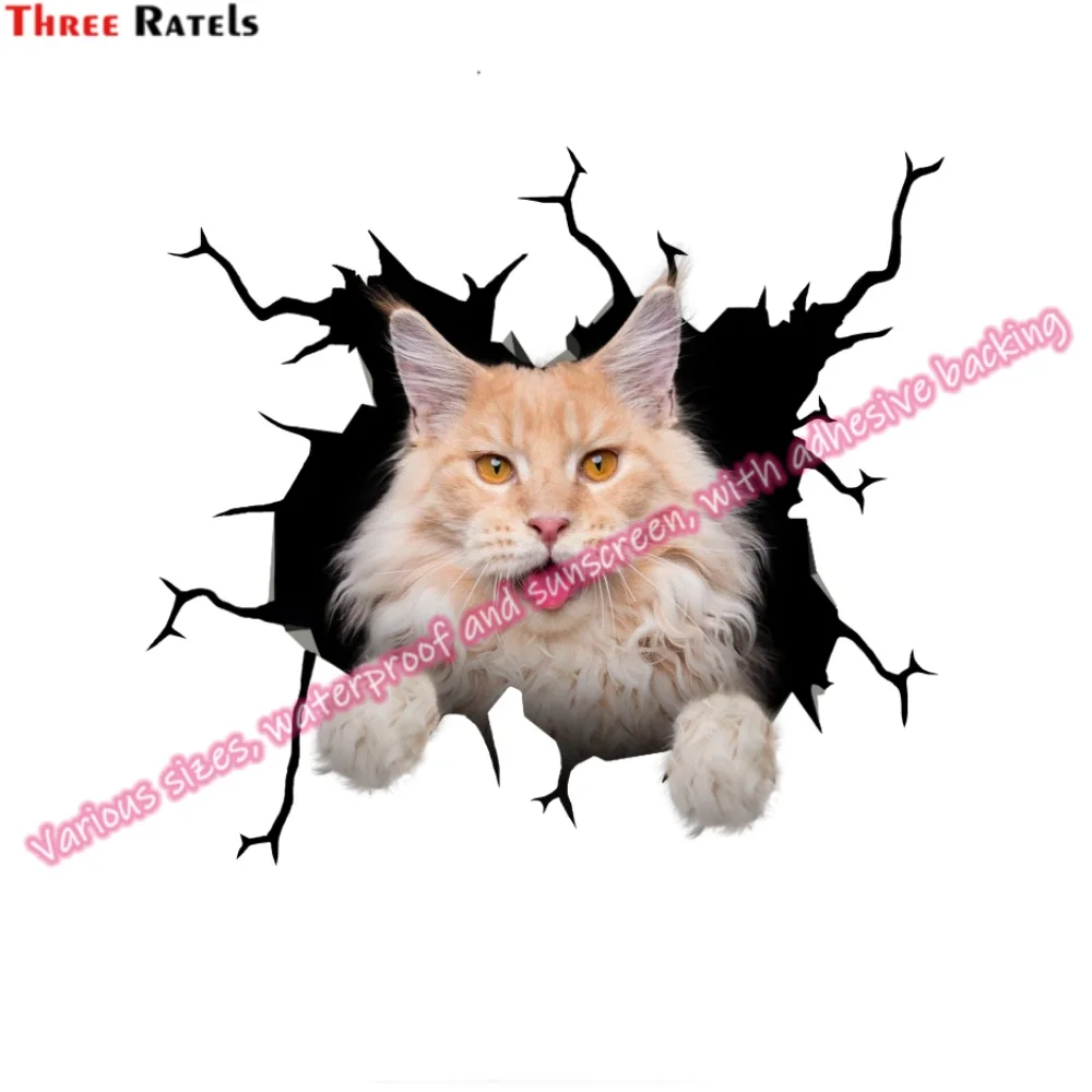 Три Ratels HA-0041 клейкие виниловые аксессуары для BMW F30 Opel Astra H мотоциклетные наклейки