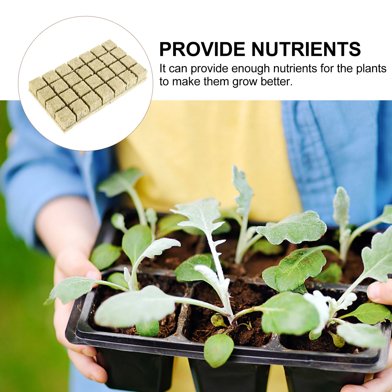 

Appetizer Mineral Wool Block Seedlings Soil Nutrient Flower Soilless Cultivation