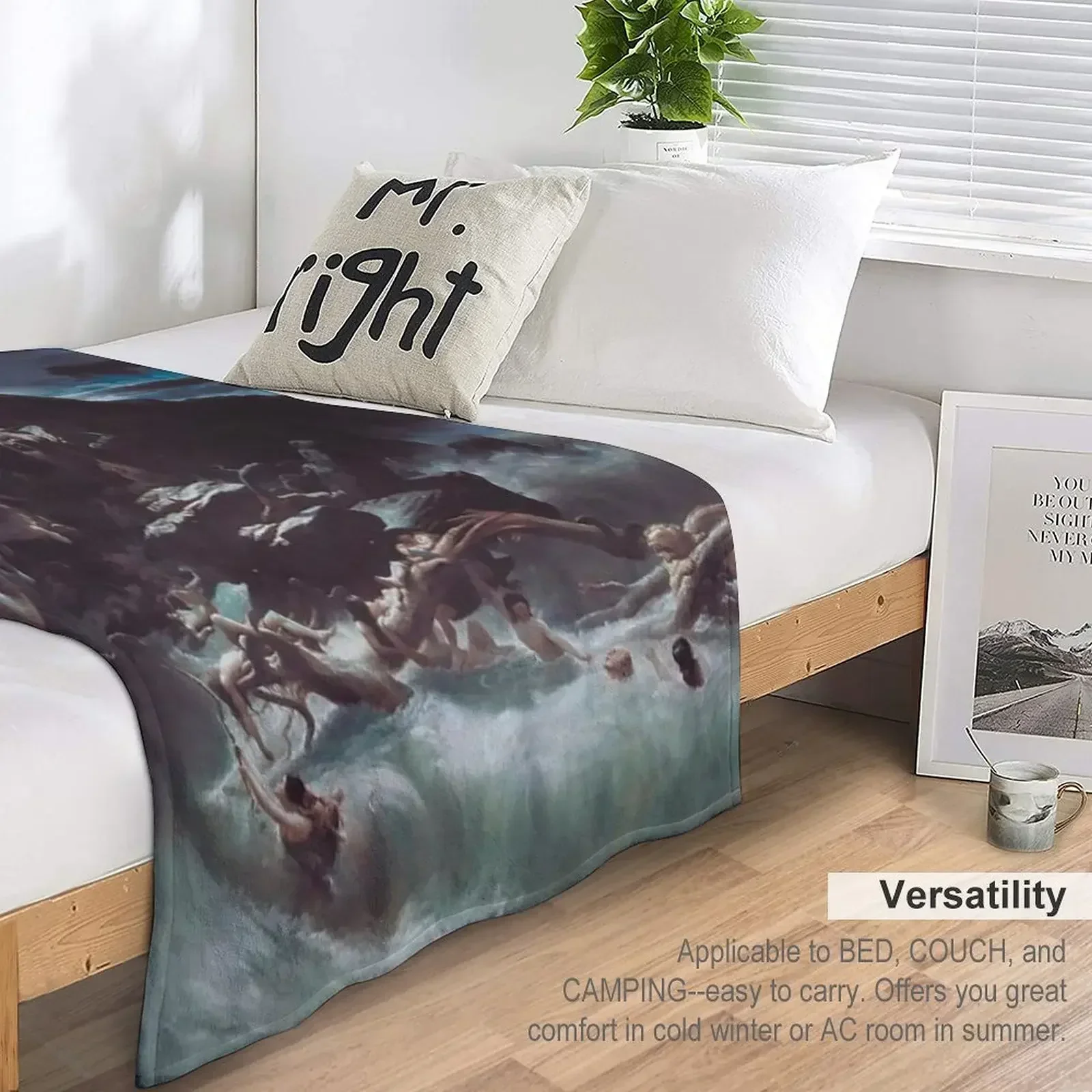 Делогром Фрэнсиса Данби плед для дивана тонкие мягкие одеяла