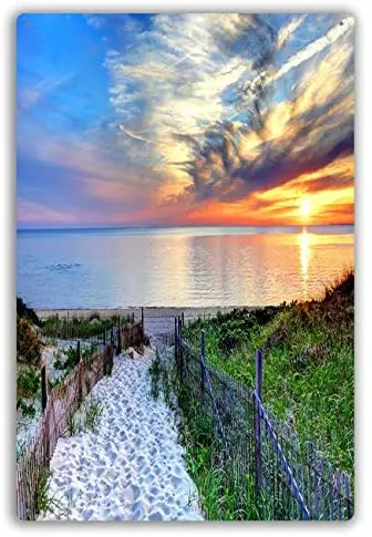 

Funny Retro Cafe Store Metal Tin Signs Wall Decor Path with Beach Fence On Cape Cod Wall Paintings