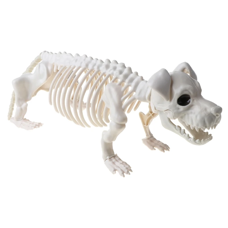 

Decorative Study Figurine Home Library Decoration Horror Halloween Skeleton Dog Decor Ghost Groom Horrific Haunted Hous