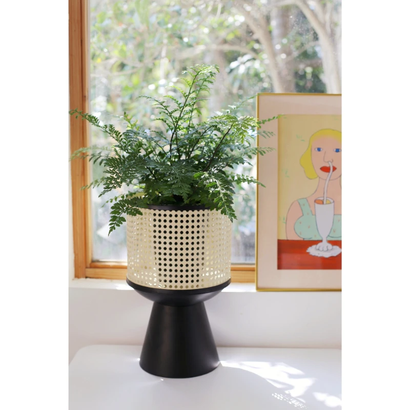 Simple Japanese Interior Flower Stand Imitation Rattan Weaving Modern Living Room Mobile Design Desktop Flower Pot PotsforPlants