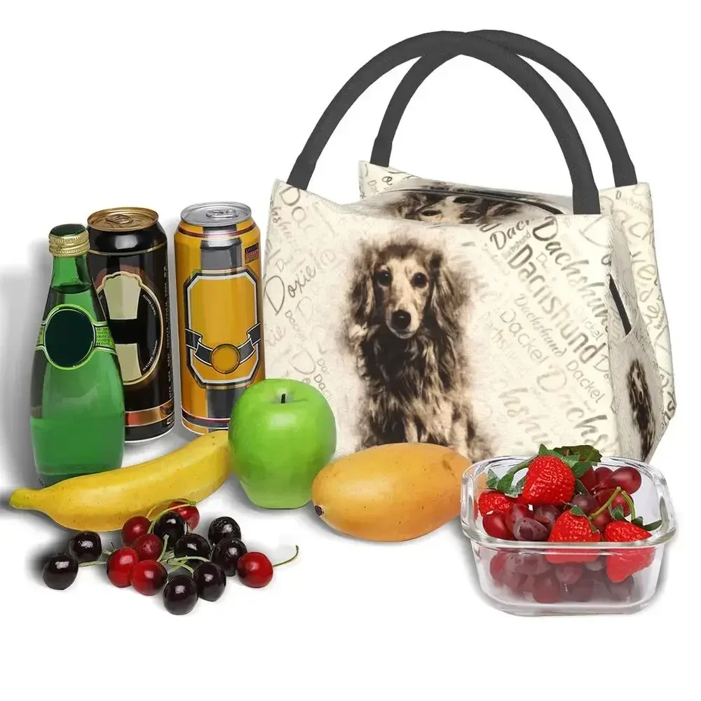 Длинношерстные изолированные сумки для обеда с собакой таксы женщин барсук