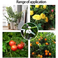plant support clips 6090120 pcs vine tomato stem vegetable fixing clip garden greenhouse accessories plant stem trainer