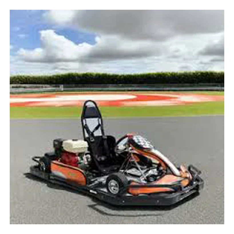 Заводская цена Гоночные картинг Электрический с цифровой приборной панелью