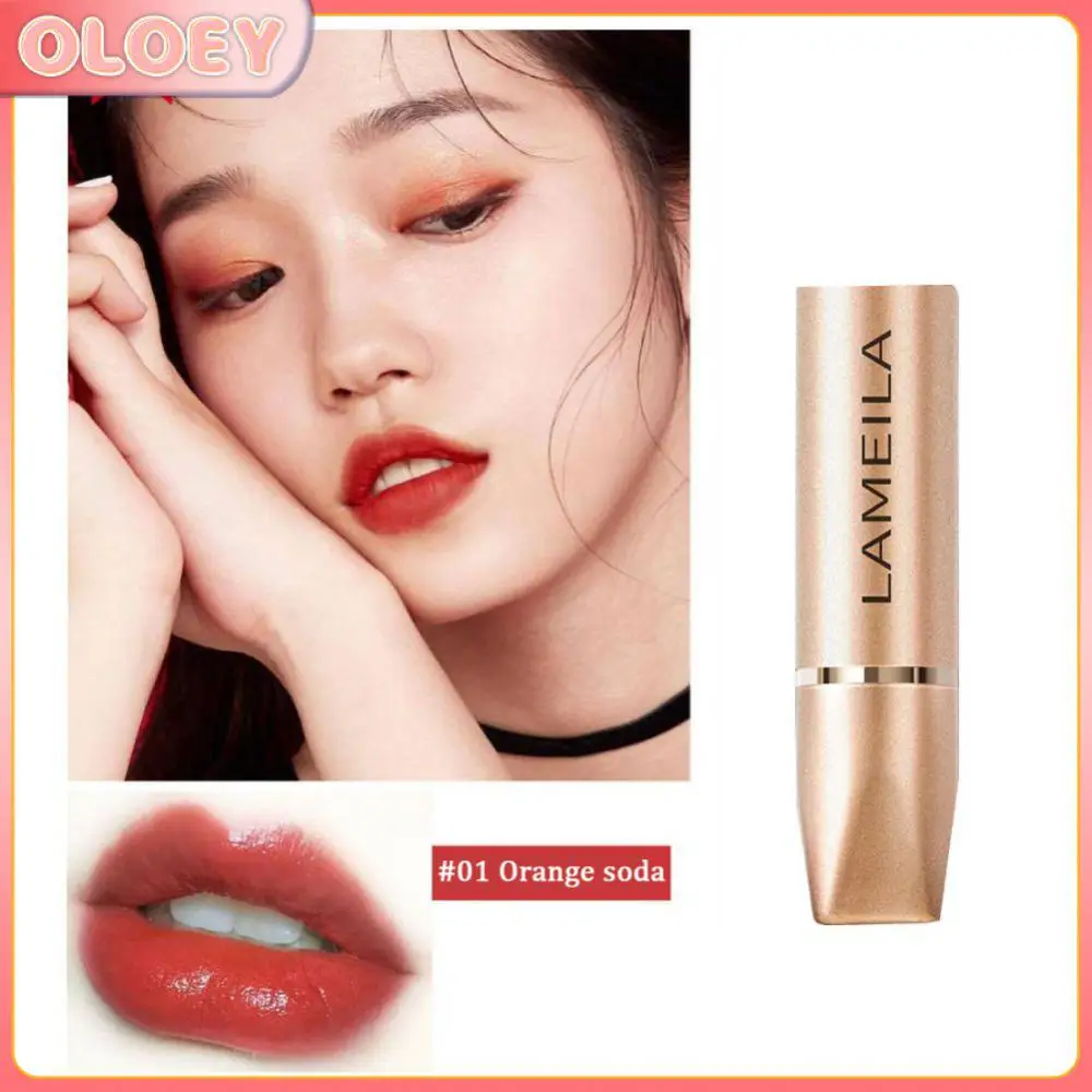 

LAMEILA 6 colors Matte Lipstick Velvet Glossy Lip Tint Sexy Red Brown Pigments Women Fashion Long Lasting Makeup Gift TSLM1