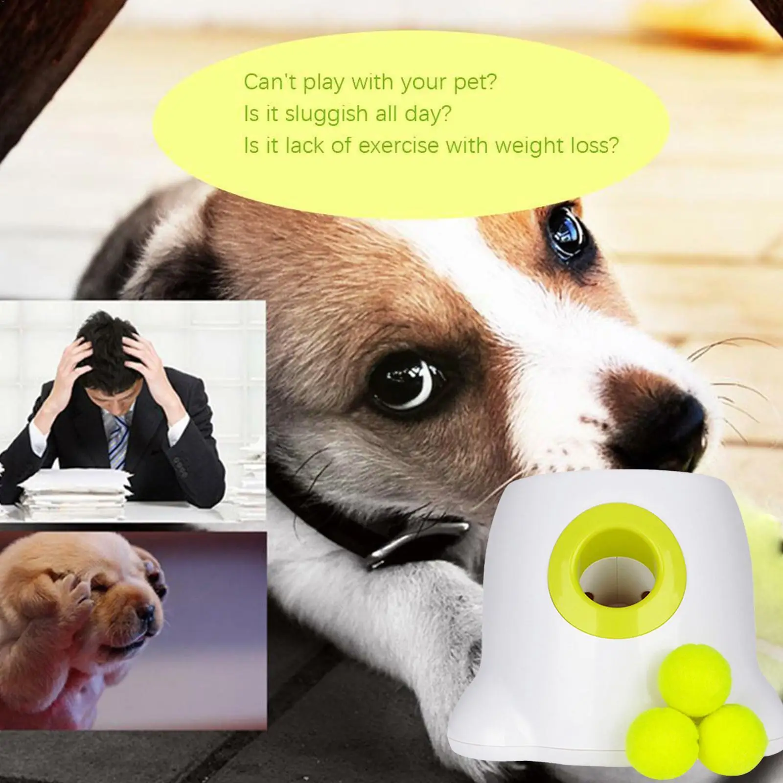 

Dog Pet Toys Tennis Launcher Automatic Throwing Machine 3 Throw Section Ball Balls Device With Emission B6k1