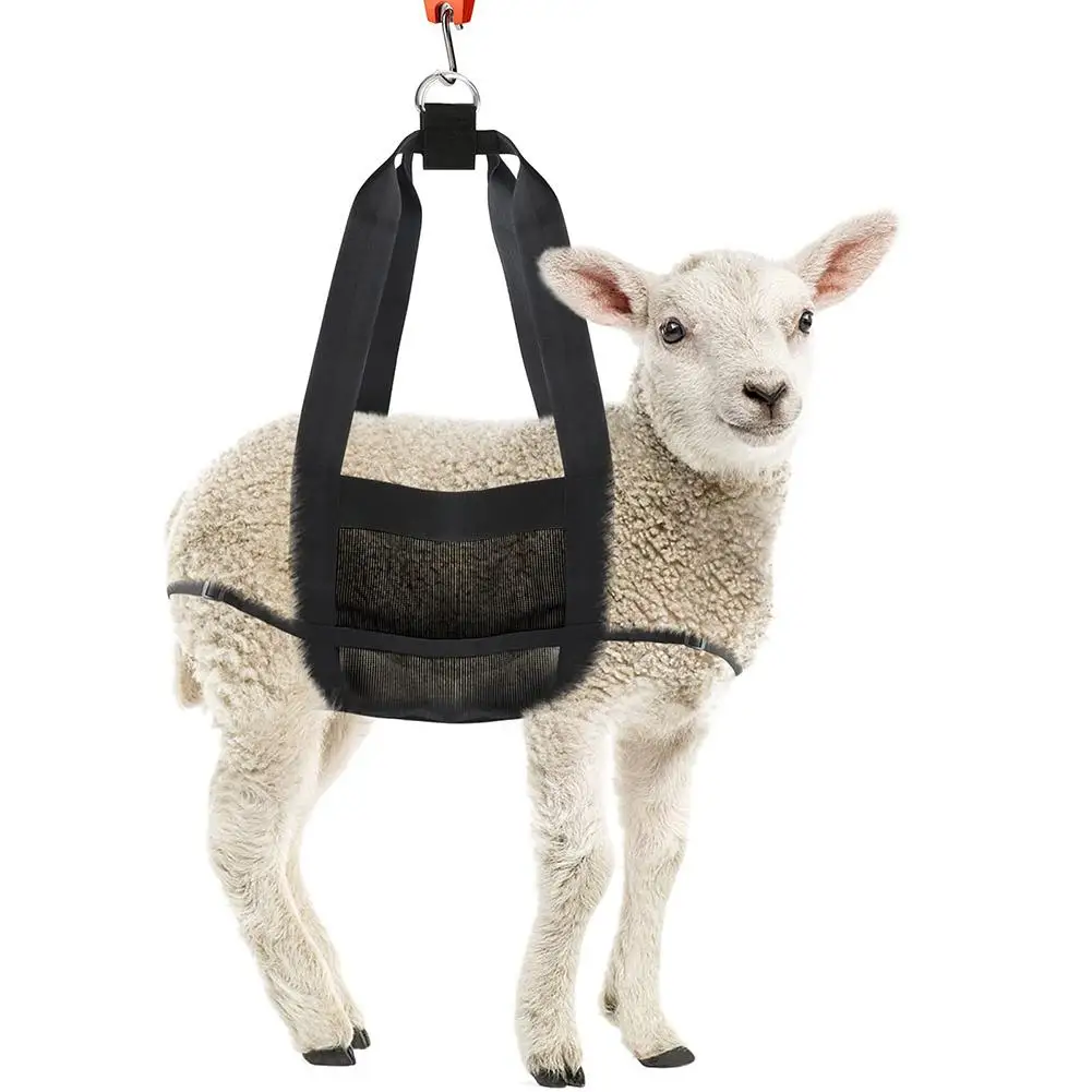 

Foldable Hanging Weight Scale Sling With Adjustable Straps For Weighing Calves Lambs Goats Livestock