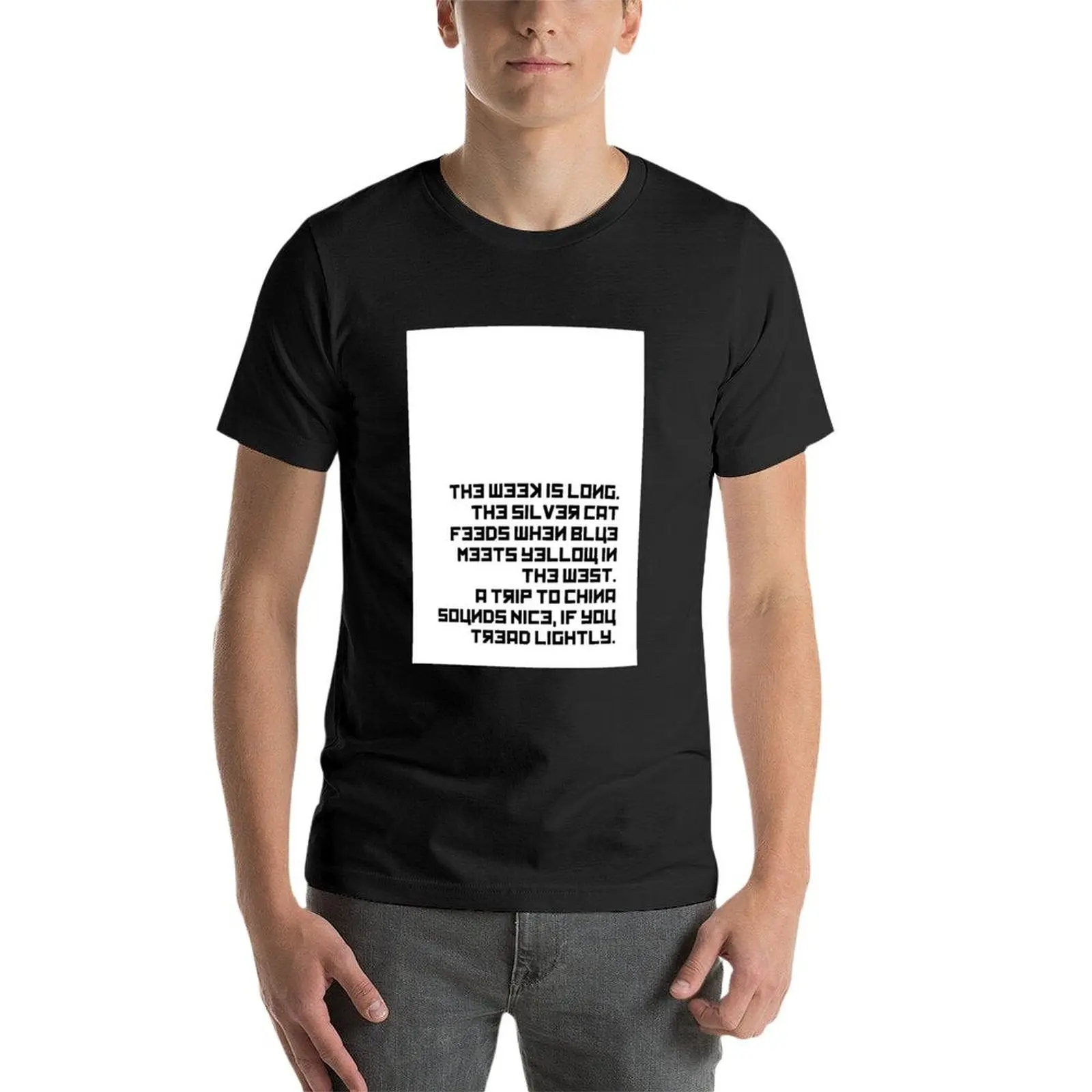 Мужская футболка с надписью на русском языке