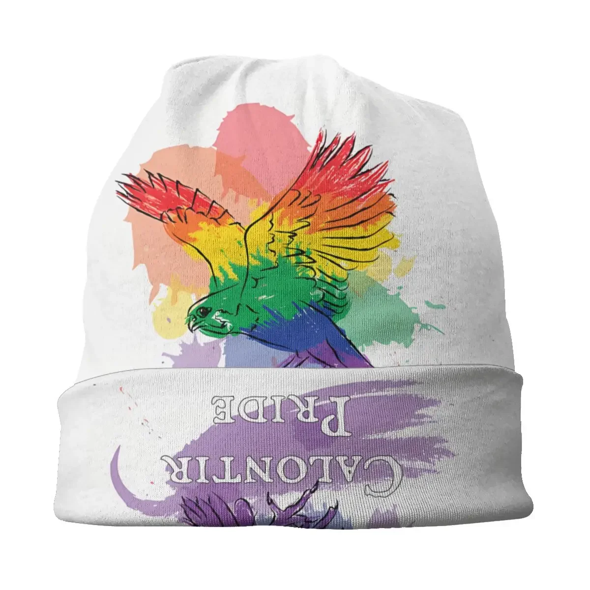 Фото Радужная шапочка Calontir Pride Homme, осенне-весенние тонкие шапочки, облегающие шапки для мужчин и женщин, Новые шапки №3