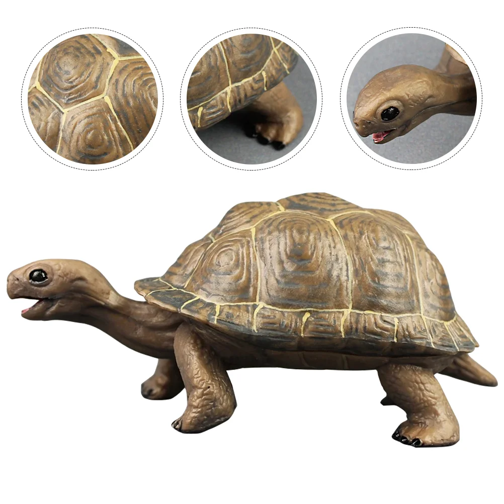 

Simulation Turtle Kids Cognitive Toy Figurine Exquisite Tortoise Ornaments Plastic Model Desk Top Decor