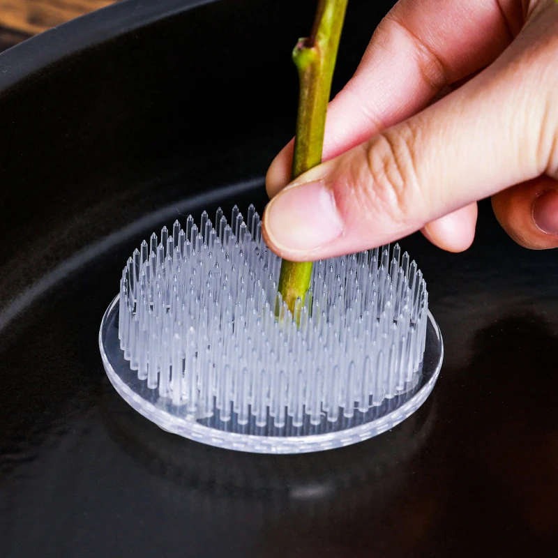 Круглая присоска Ikebana Kenzan для цветов лягушек пластиковый органайзер