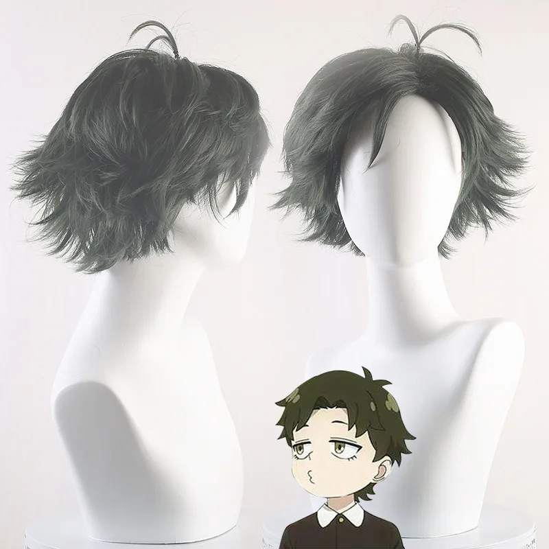 

Anime SPY×FAMILY Damian Desmond Cosplay Wig 28cm Short Hair Damian Desmond Costume Wigs Anya Forger's Classmate Hair + Wig Cap