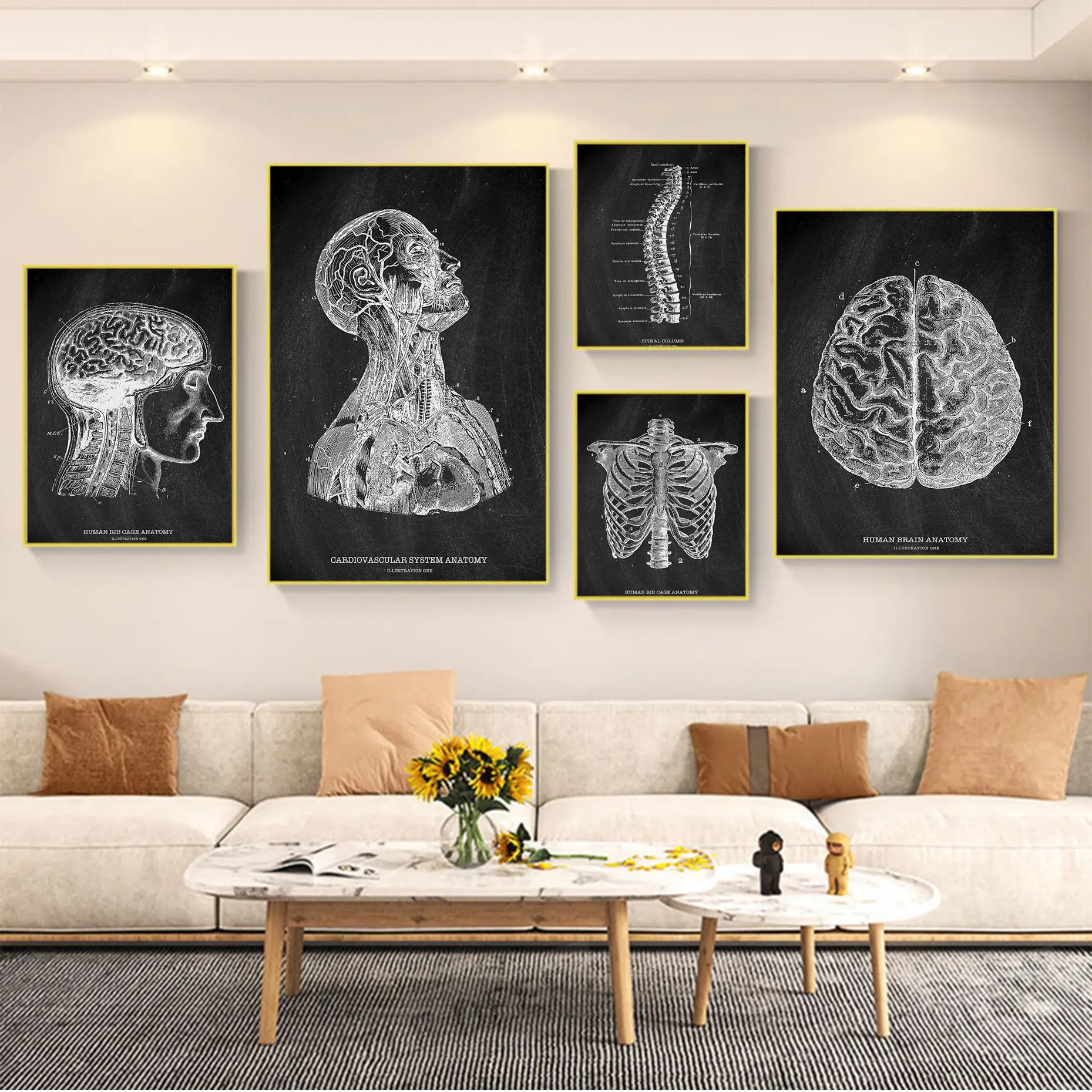 

Anatomical Skeleton Chalkboard Medicine Student Decor Medical Self-adhesive Art Poster Room Bar Cafe Decor Nordic Home Decor
