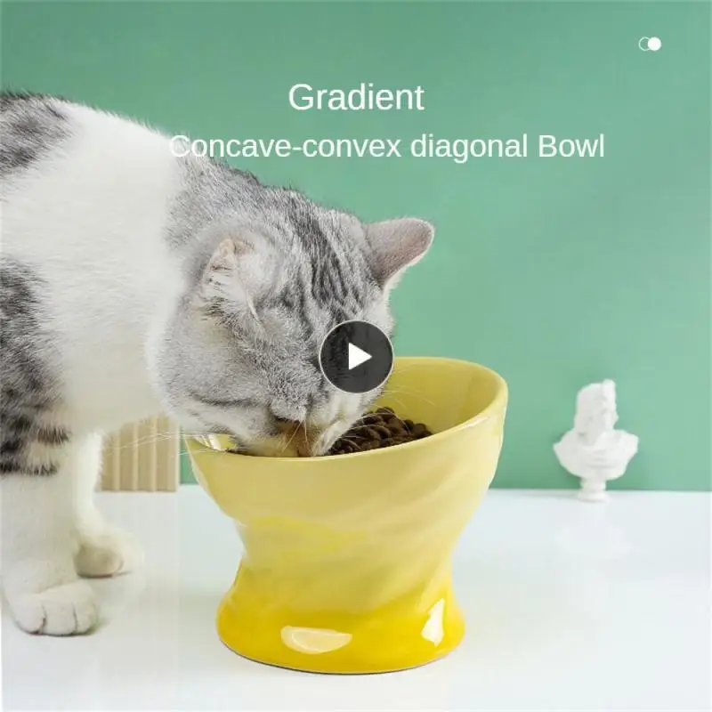 

Миска для домашних животных с градиентом, зеленая вогнуто-выпуклая коническая желтая миска для кормления кошек, принадлежности для высоких ног, синяя чаша для кошек