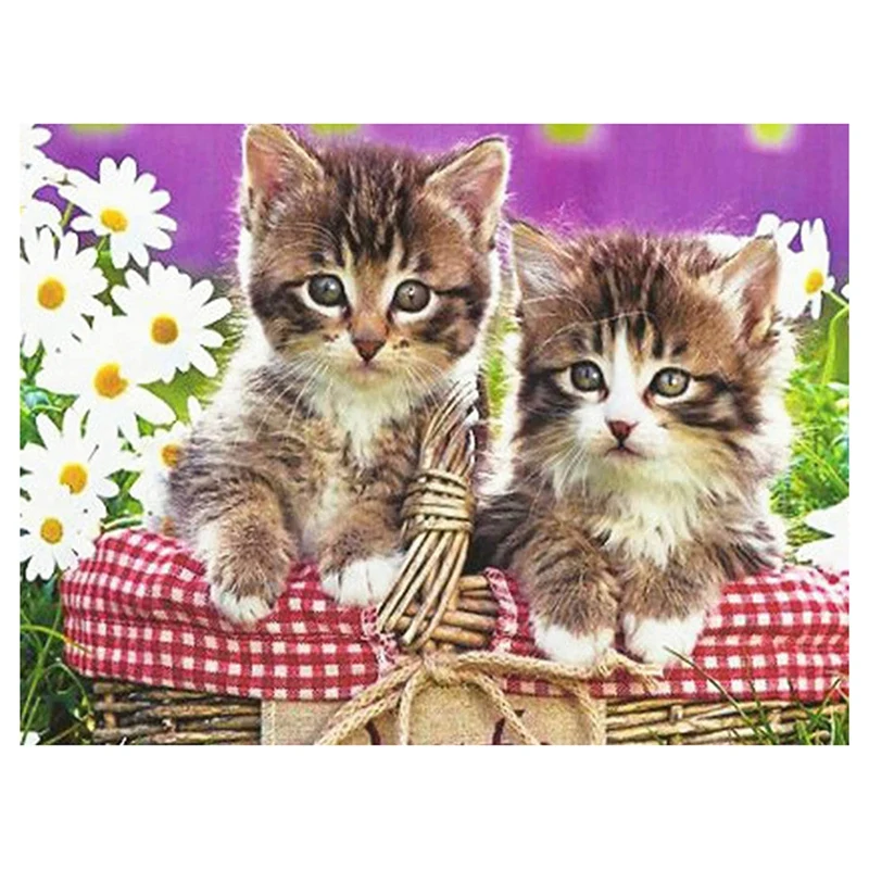 

Алмазная краска «сделай сам», полная вышивка Стразы для взрослых, алмазная краска, набор для рисования с алмазами, 2 кошки