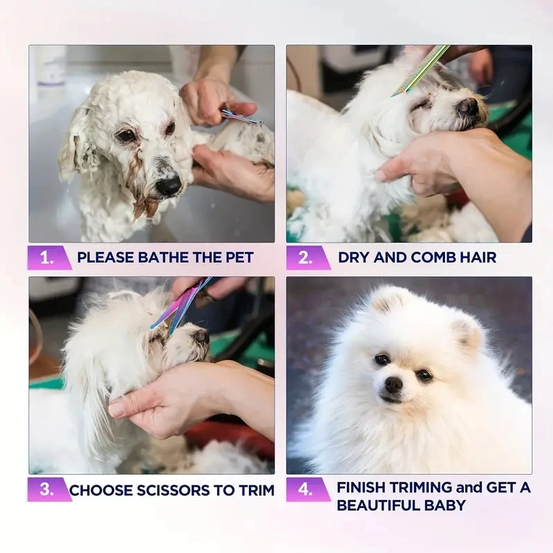 Профессиональные Радужные Ножницы Для Ухода За Собаками Набор Кусачек Стрижки