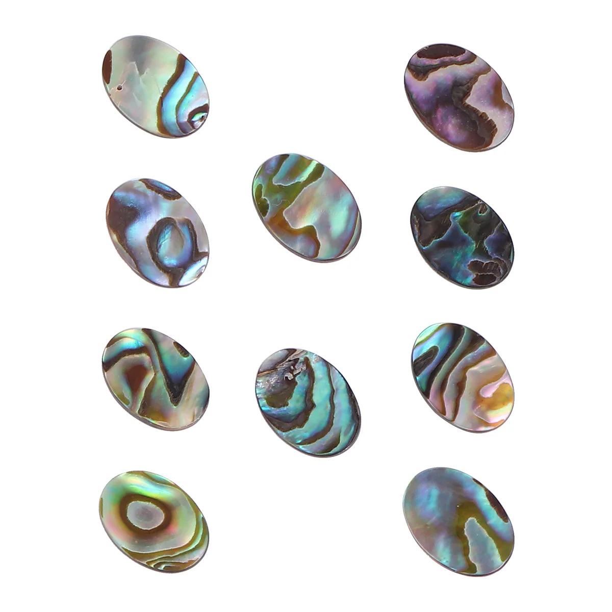 

Decorate Abalone Shell Jewelry Necklace Parts Pendant Funny Earrings Accessories