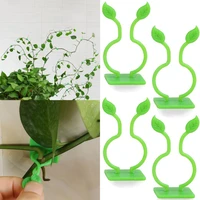 100pcsset plant climbing wall clip invisible wall vines fixture wall sticky hook holder plant cages plant supports vine clips