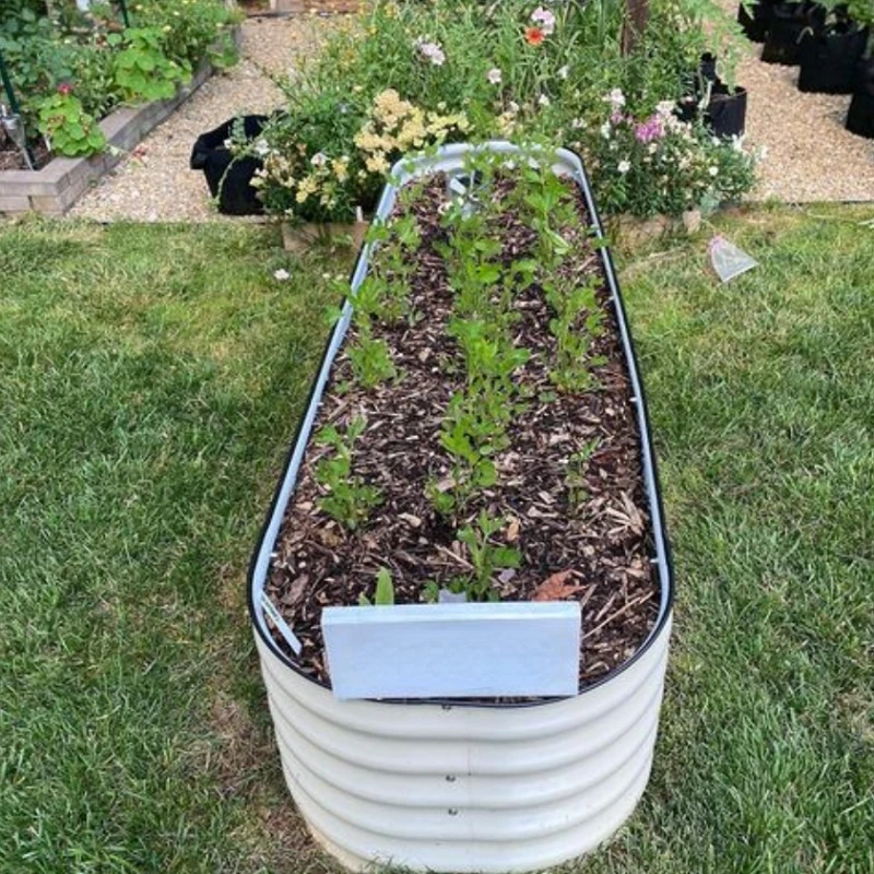 

Raised Garden Bed Kits Outdoor Stainless Steel Planter Box