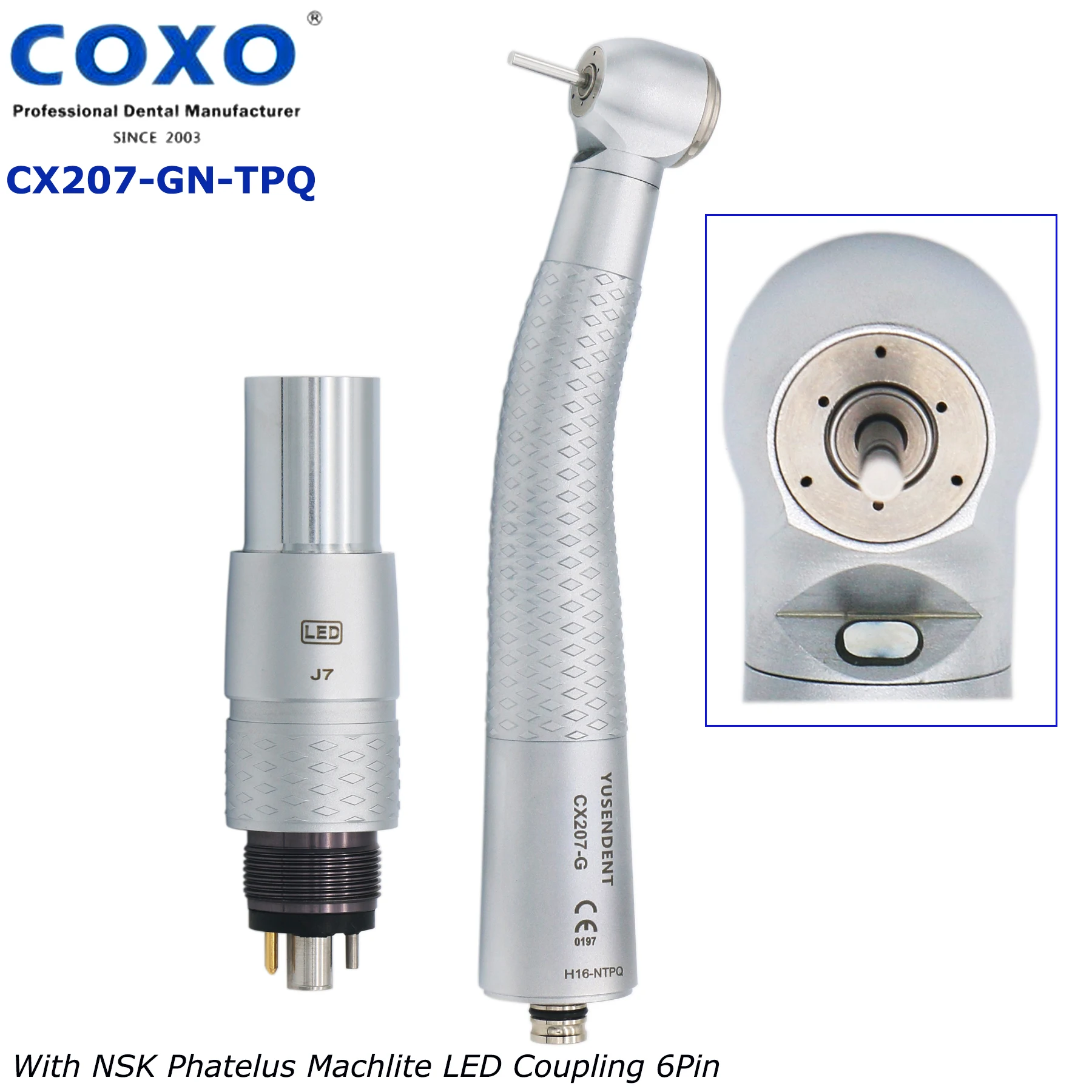 COXO Dental LED Fiber Optic High Speed HandpieceTool Torque Head GK-TP Fit KAVO Multiflex Coupler