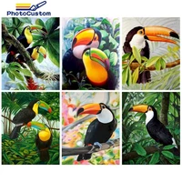 photocustom pictures by number bird animals home decor painting by number kits animals drawing on canvas handpainted art gift