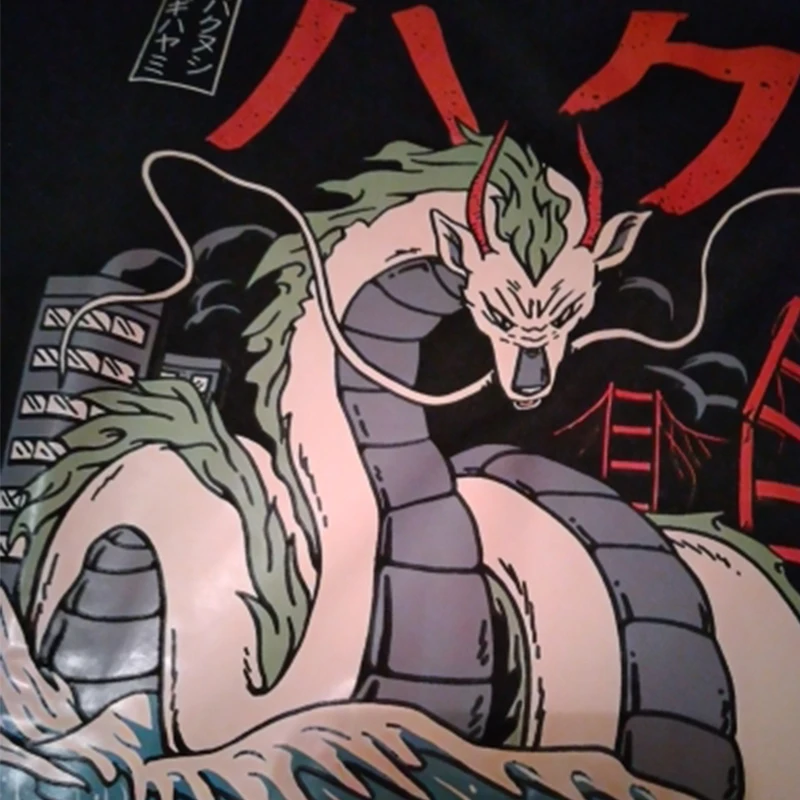 Футболка в стиле Харадзюку для студийной фотосъемки Тоторо Миядзаки улзан