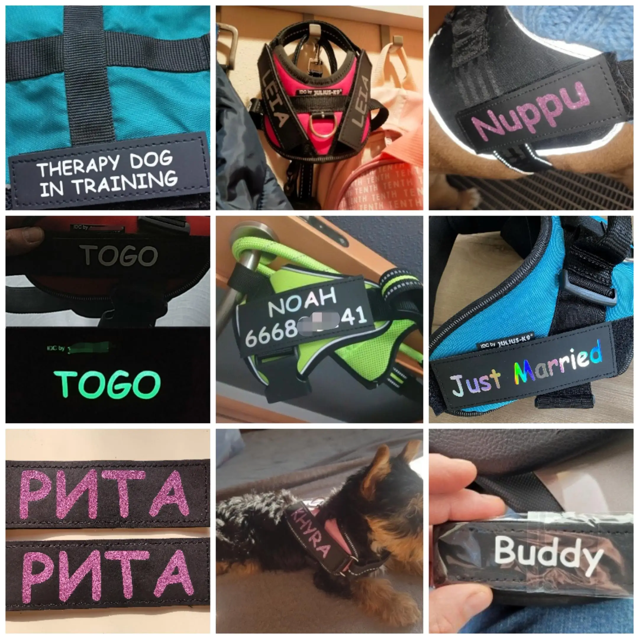 2 шт. светоотражающие этикетки для собак на липучке | Дом и сад