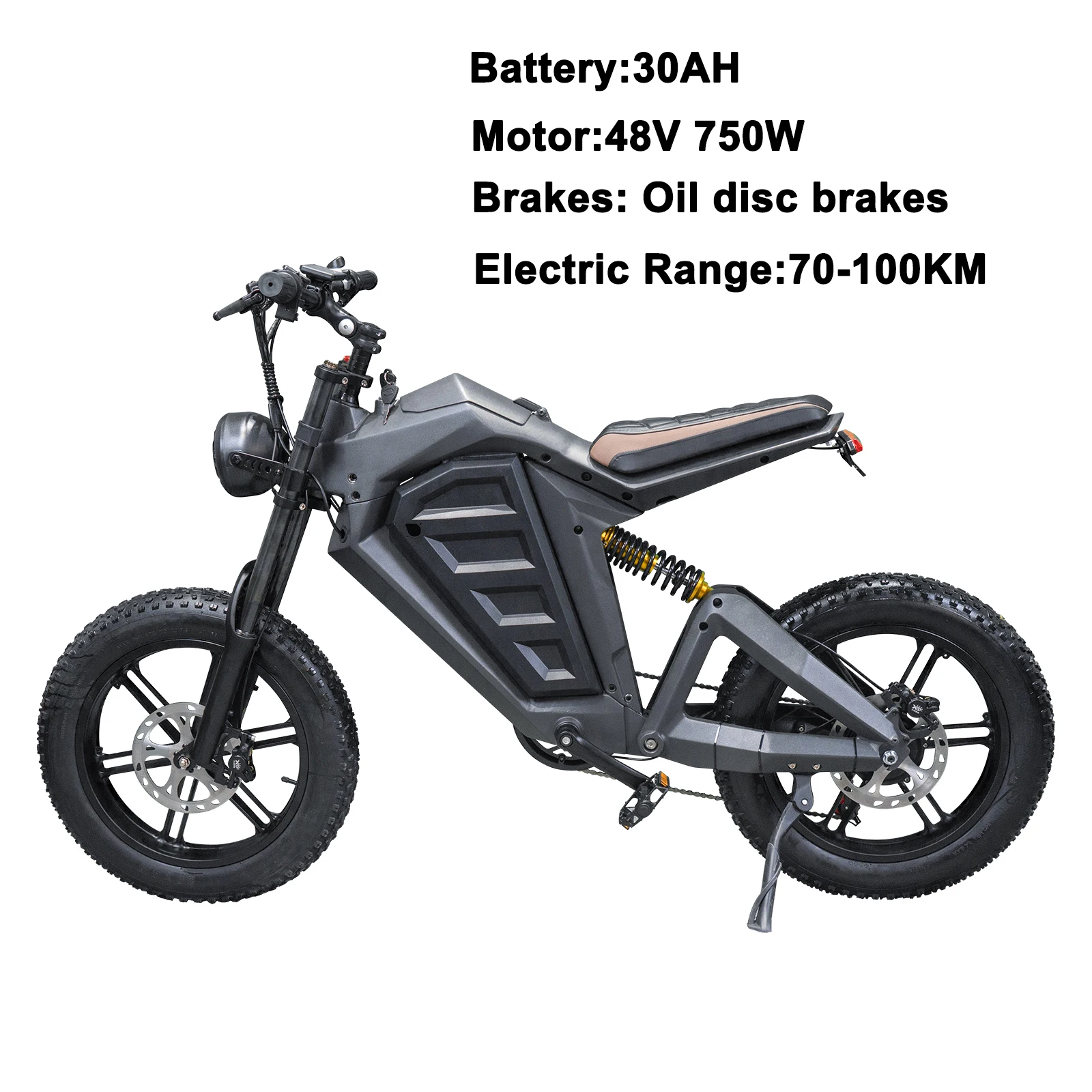 

Electric Bike Vintage Style Fat Tire 48V 750W Mountain Moped Ebike 20 Inch Fat Tire 30AH Battery Road EBike Electric Bicycle