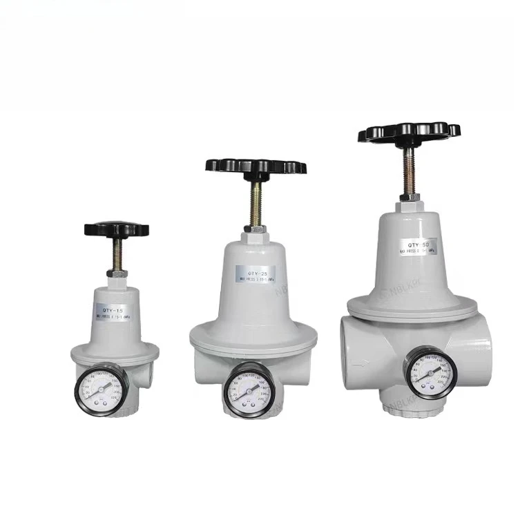 Air compressor high pressure reducing valve air pump gas pressure regulating valve filter 16kg QTY- 0810152025 (art.: 3920d31bbd110) - 3920d31bbd110