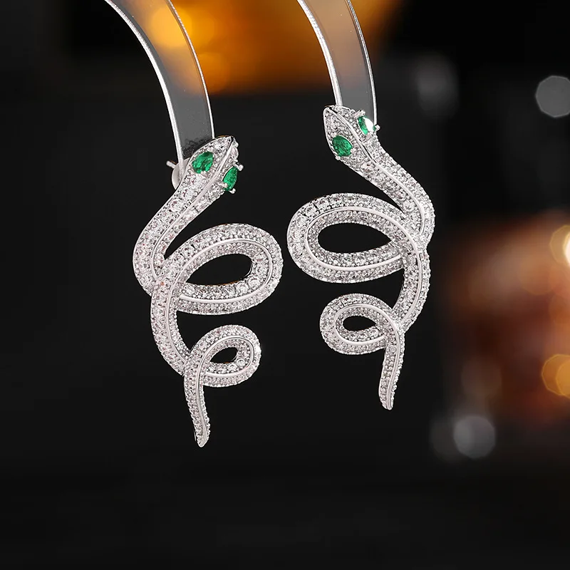 

925 Silver Needle Micro Set AAA Zircon Stone Personality Punk Snake Earrings for Women Ladies Vintage Party Stud Earring Jewelry