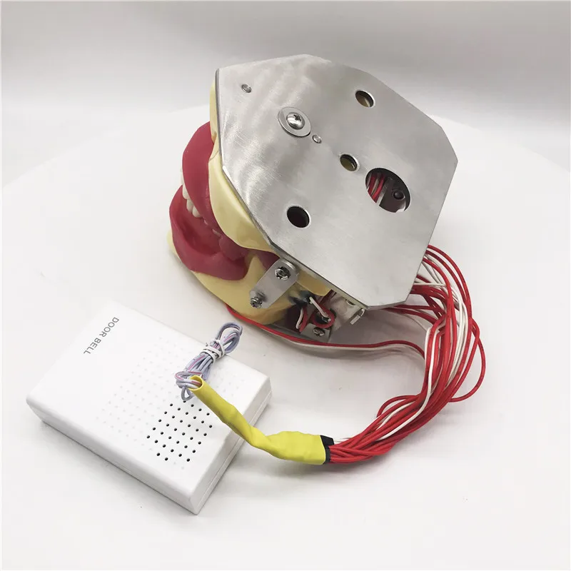 Модель экстракции стоматологической анестезии с зуммером модель для обучения