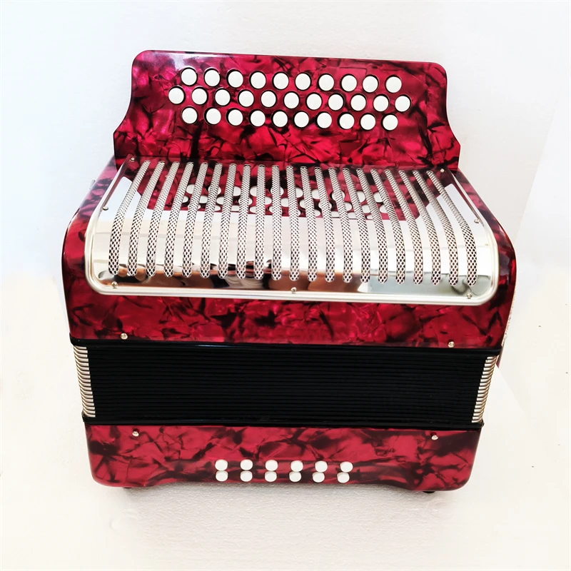 31 клавиша 12 басов кнопка гармошка баяны с ABS Чехол