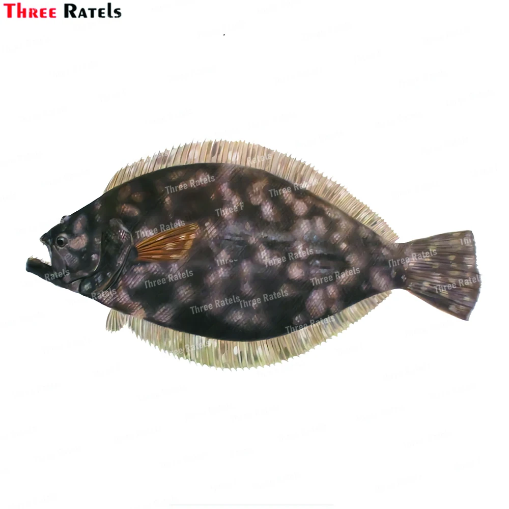 

Three Ratels J711 Personalized Vinyl Stickers For Fish Bowl Car Accessories Vinyl Material Auto Decals