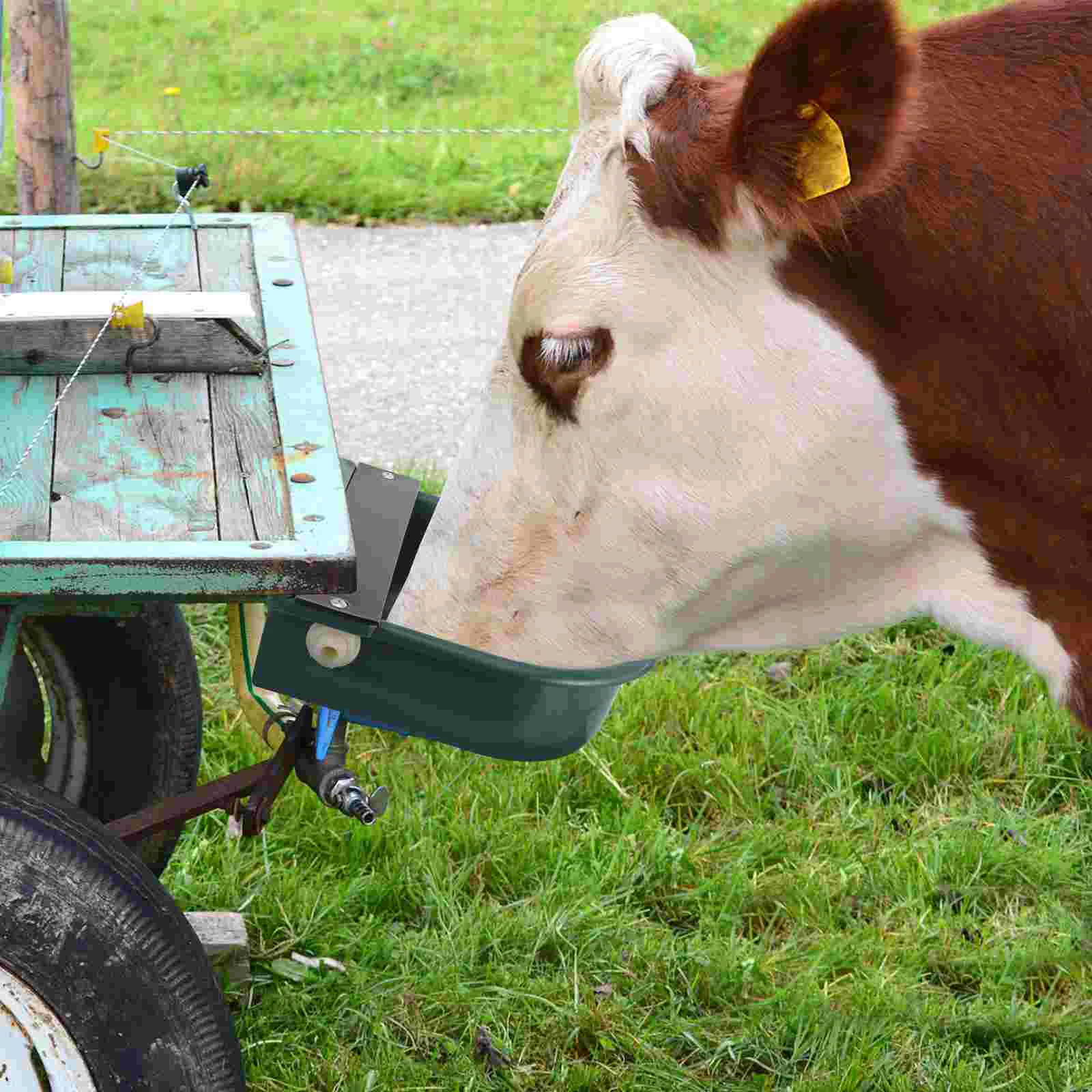 

Horse Cattle Drinker Water Bowl Goat Waterer Outdoor Cow Livestock Fountain Dispenser Drinking Automatic